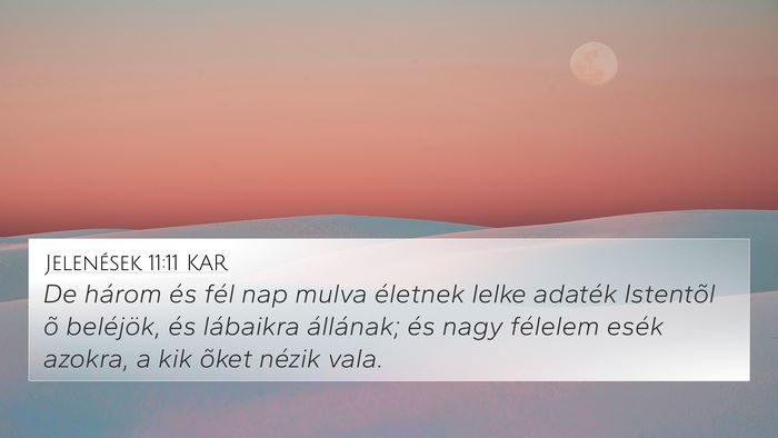 Jelenések 11:11 KAR Bible Verse Image