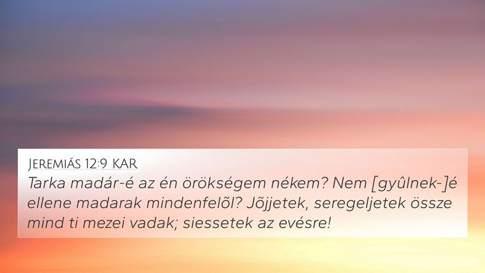 Jeremiás 12:9 KAR 4K Wallpaper - Tarka madár-é az én örökségem nékem? Nem - 4K Wallpaper Bible Verse