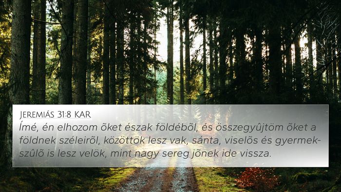 Jeremiás 31:8 KAR Bible Verse Image