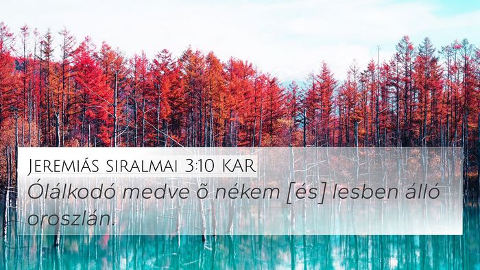 Jeremiás siralmai 3:10 KAR Bible Verse Image