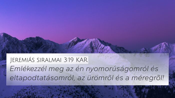 Jeremiás siralmai 3:19 KAR Bible Verse Image
