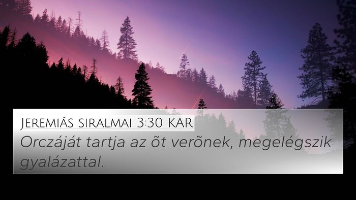 Jeremiás siralmai 3:30 KAR Bible Verse Image