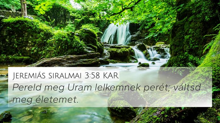 Jeremiás siralmai 3:58 KAR Bible Verse Image