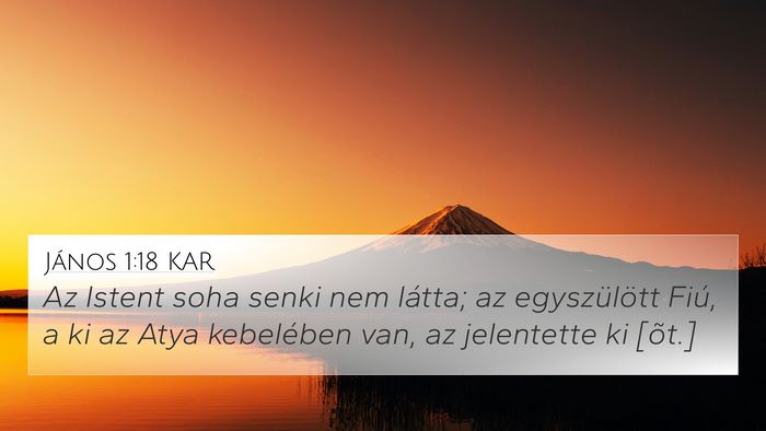 János 1:18 KAR Bible Verse Image