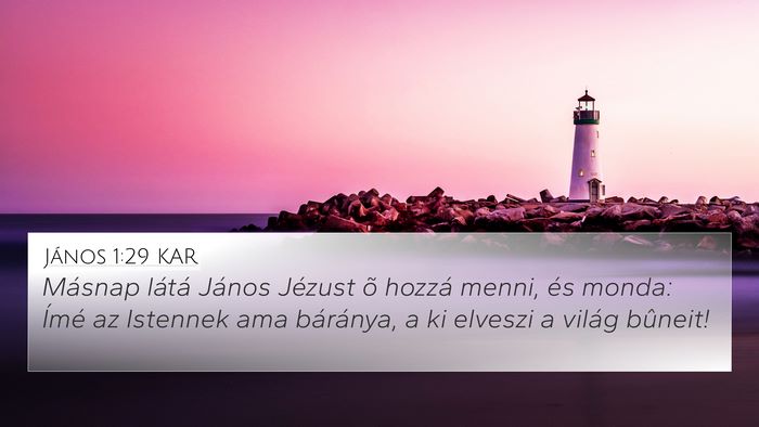 János 1:29 KAR Bible Verse Image