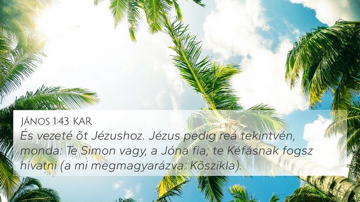János 1:43 KAR Bible Verse Image