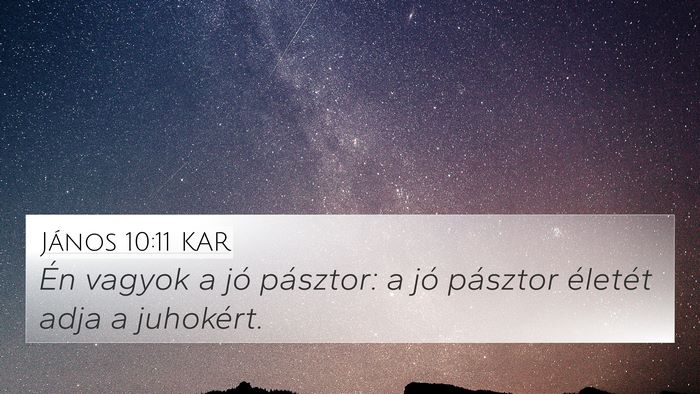 János 10:11 KAR Bible Verse Image