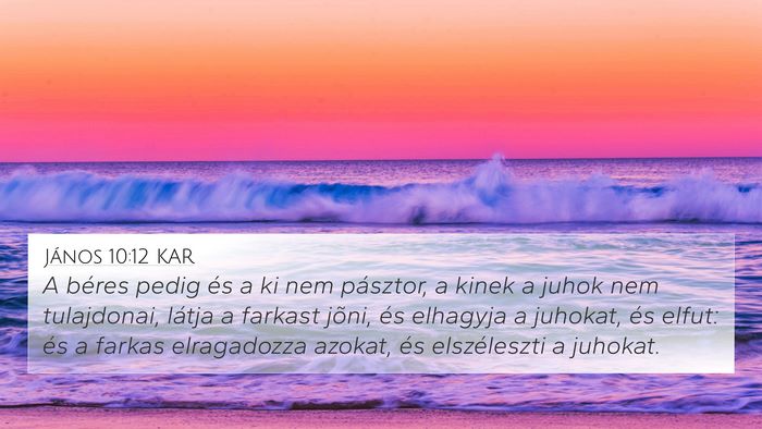 János 10:12 KAR Bible Verse Image
