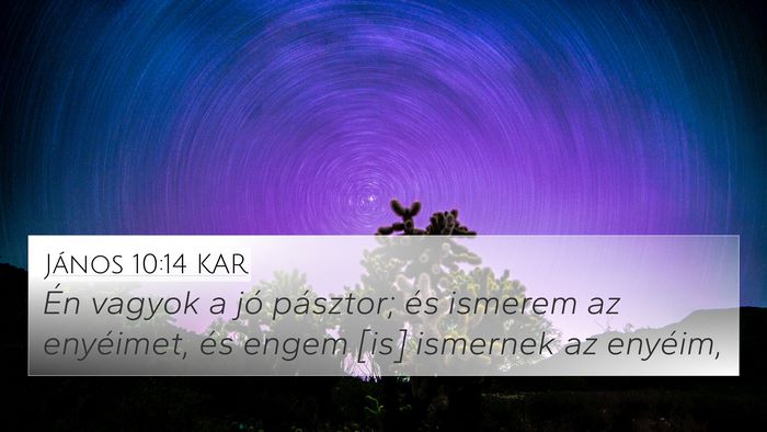 János 10:14 KAR Bible Verse Image