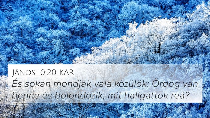 János 10:20 KAR Bible Verse Image