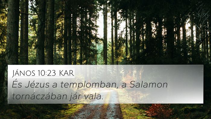 János 10:23 KAR Bible Verse Image