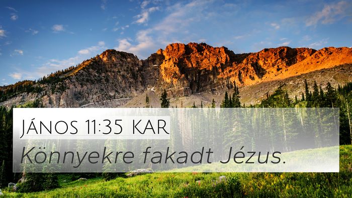 János 11:35 KAR Bible Verse Image
