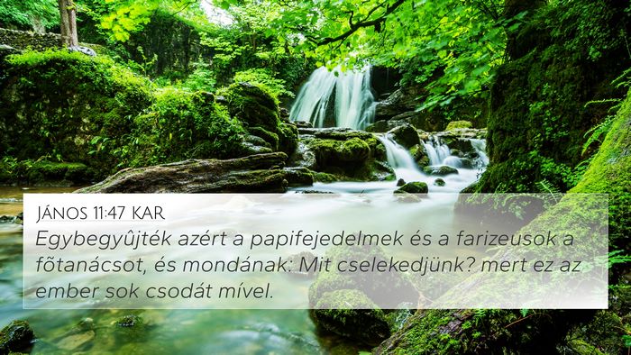 János 11:47 KAR Bible Verse Image