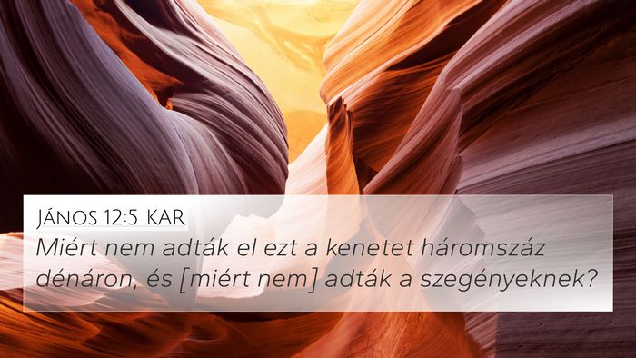 János 12:5 KAR Bible Verse Image