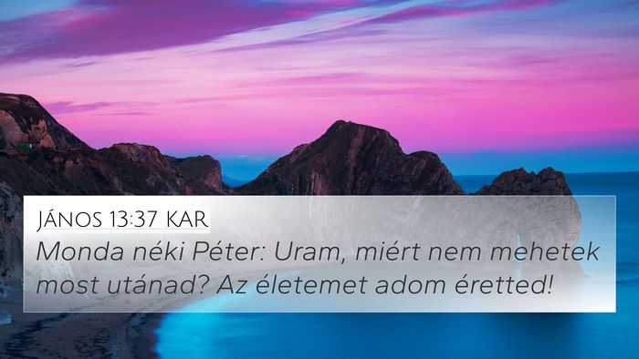 János 13:37 KAR Bible Verse Image