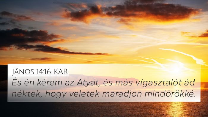 János 14:16 KAR Bible Verse Image