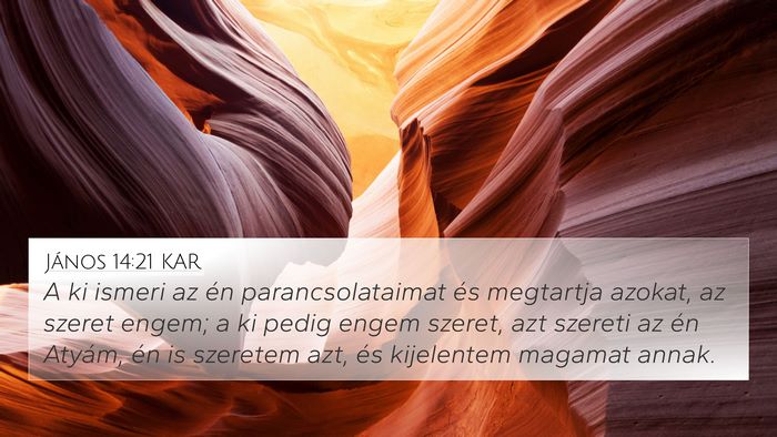 János 14:21 KAR Bible Verse Image