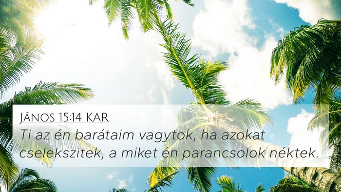 János 15:14 KAR Bible Verse Image