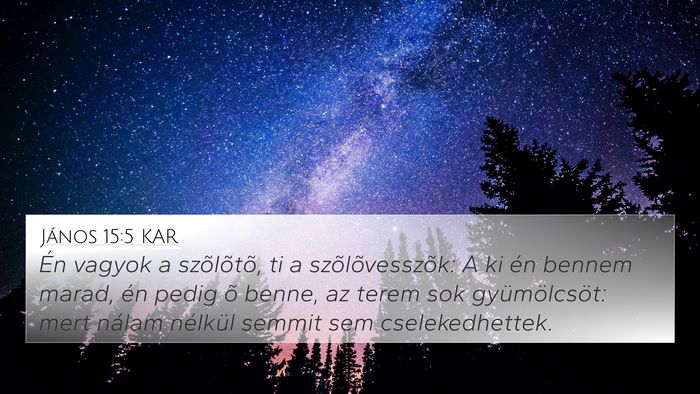 János 15:5 KAR Bible Verse Image
