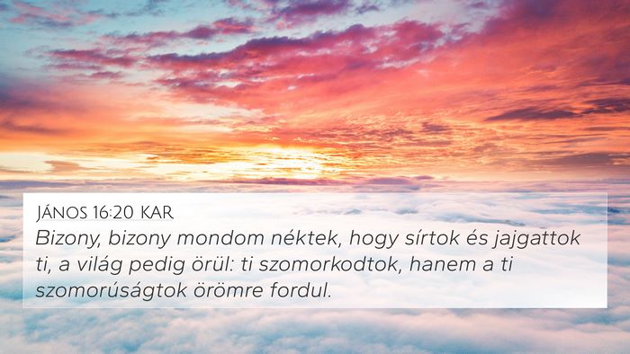 János 16:20 KAR Bible Verse Image