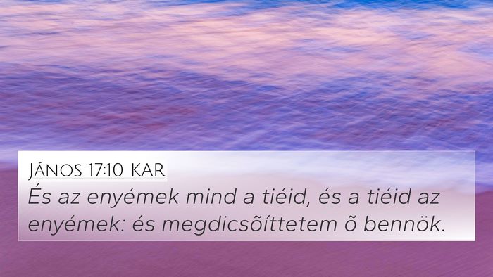 János 17:10 KAR Bible Verse Image