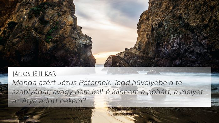 János 18:11 KAR Bible Verse Image