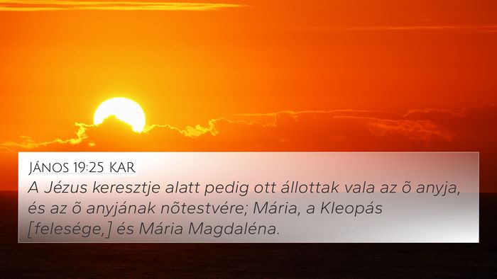 János 19:25 KAR Bible Verse Image