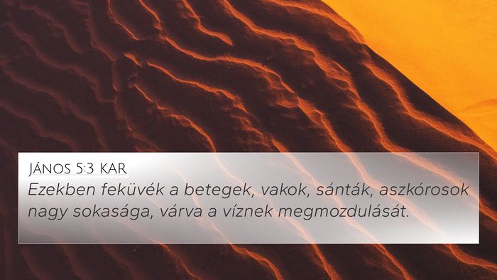János 5:3 KAR Bible Verse Image
