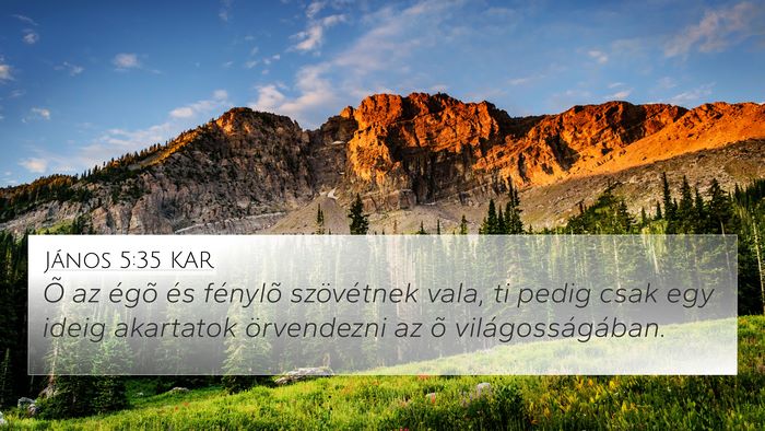 János 5:35 KAR Bible Verse Image