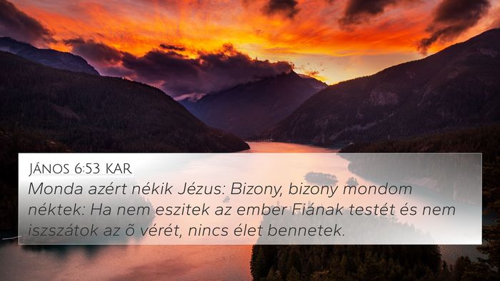 János 6:53 KAR Bible Verse Image