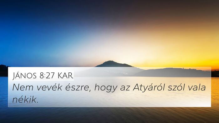 János 8:27 KAR Bible Verse Image