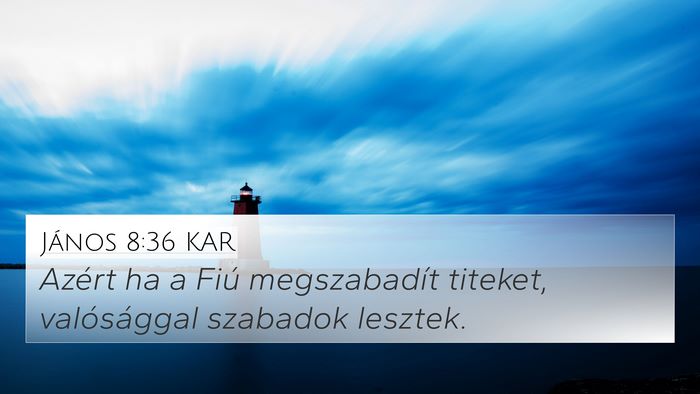 János 8:36 KAR Bible Verse Image
