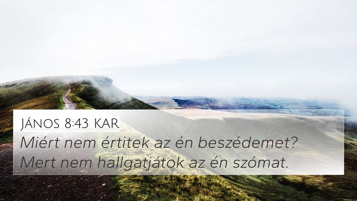 János 8:43 KAR Bible Verse Image