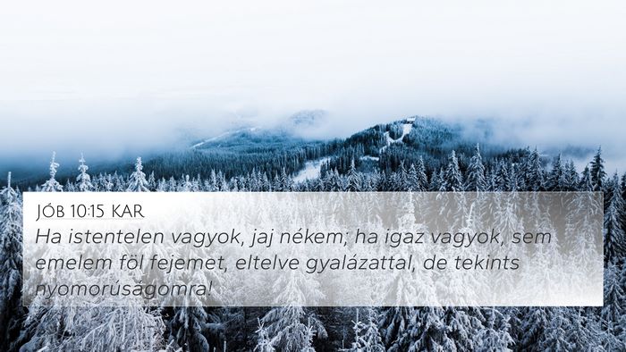 Jób 10:15 KAR Bible Verse Image