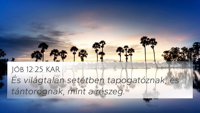 Jób 12:25 KAR Bible Verse Image