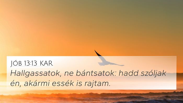 Jób 13:13 KAR Bible Verse Image