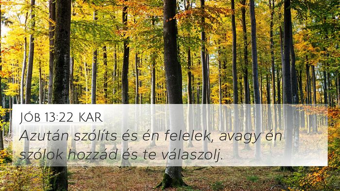 Jób 13:22 KAR Bible Verse Image