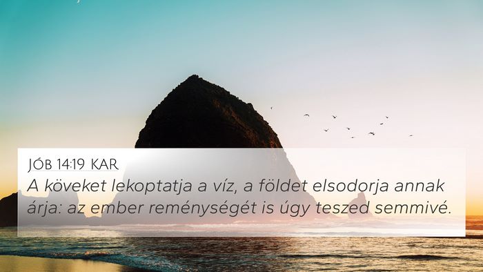 Jób 14:19 KAR Bible Verse Image