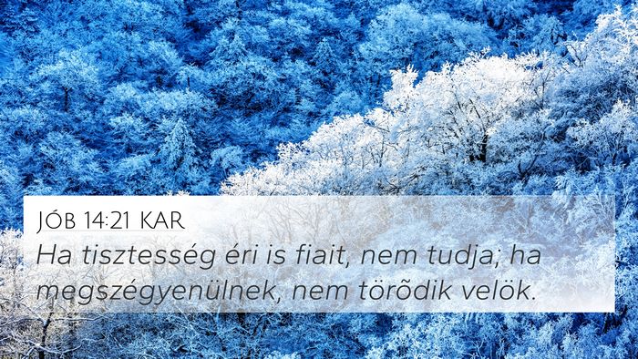 Jób 14:21 KAR Bible Verse Image