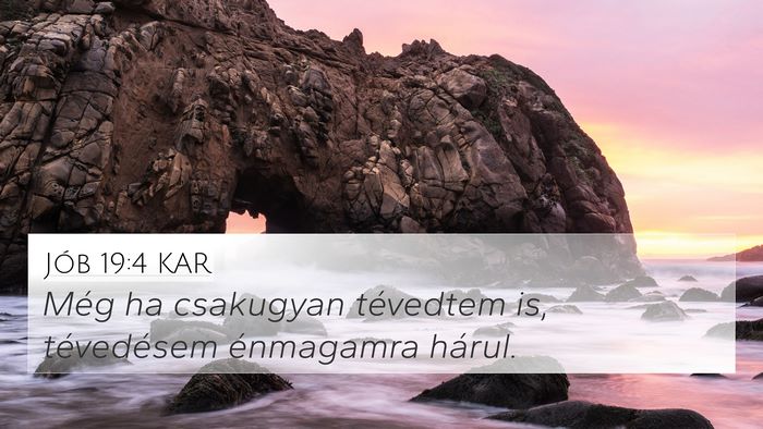 Jób 19:4 KAR 4K Wallpaper - Még ha csakugyan tévedtem is, tévedésem - 4K Wallpaper Bible Verse