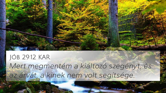 Jób 29:12 KAR Bible Verse Image