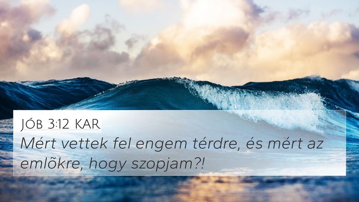 Jób 3:12 KAR 4K Wallpaper - Mért vettek fel engem térdre, és mért az - 4K Wallpaper Bible Verse