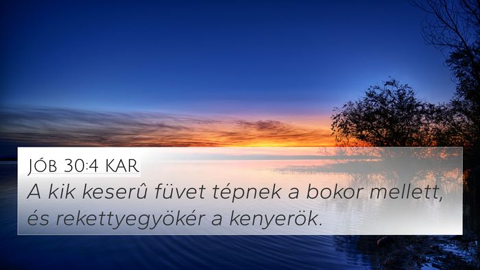 Jób 30:4 KAR 4K Wallpaper - A kik keserû füvet tépnek a bokor mellett, és - 4K Wallpaper Bible Verse