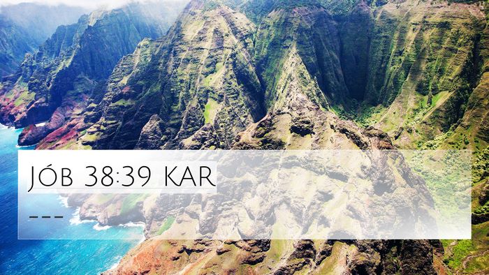 Jób 38:39 KAR Bible Verse Image