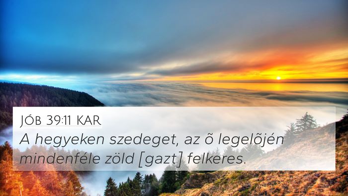 Jób 39:11 KAR 4K Wallpaper - A hegyeken szedeget, az õ legelõjén - 4K Wallpaper Bible Verse