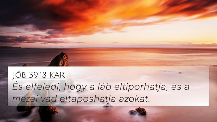 Jób 39:18 KAR Bible Verse Image