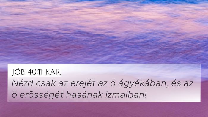 Jób 40:11 KAR Bible Verse Image