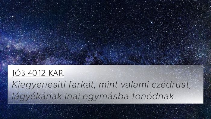 Jób 40:12 KAR Bible Verse Image