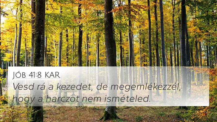 Jób 41:8 KAR 4K Wallpaper - Vesd rá a kezedet, de megemlékezzél, hogy a - 4K Wallpaper Bible Verse