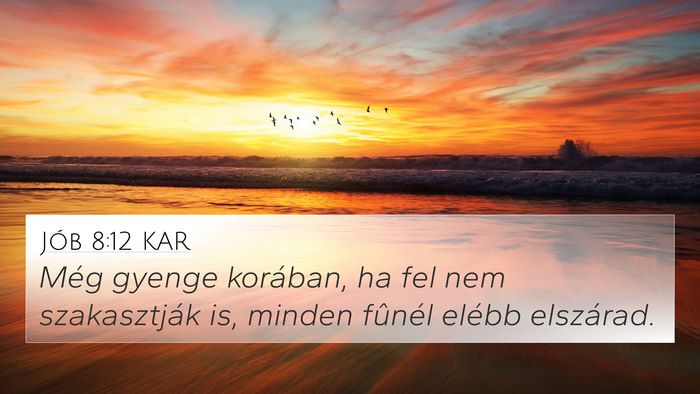 Jób 8:12 KAR 4K Wallpaper - Még gyenge korában, ha fel nem szakasztják is, - 4K Wallpaper Bible Verse